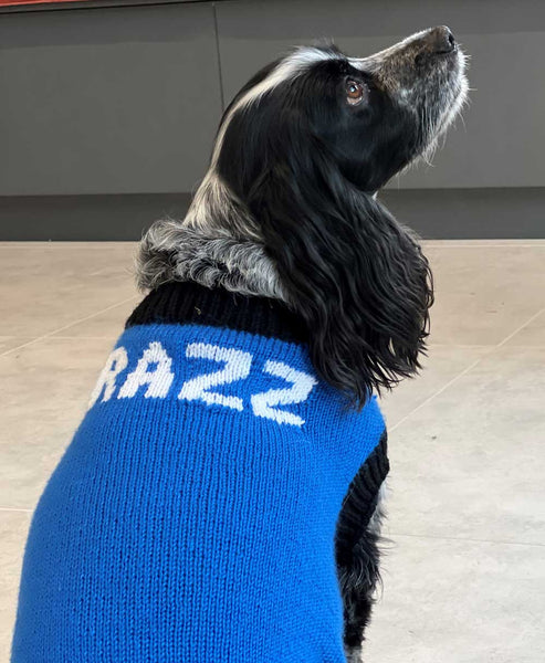 Designer Doggy Coat Hand Knitting Pattern