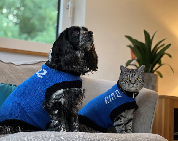 Designer Doggy Coat Hand Knitting Pattern