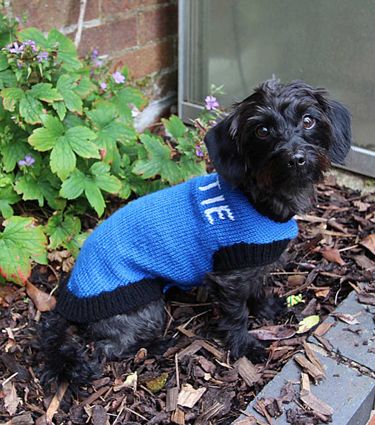 Designer Doggy Coat Hand Knitting Pattern