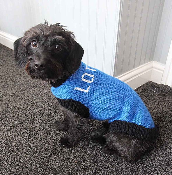 Designer Doggy Coat Hand Knitting Pattern