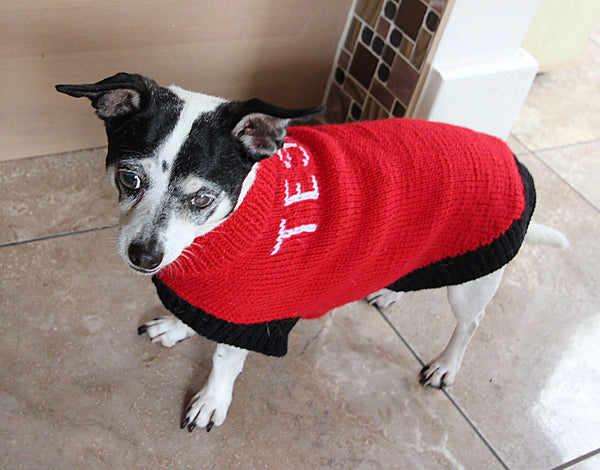 Designer Doggy Coat Hand Knitting Pattern