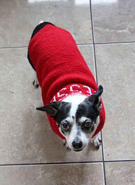 Designer Doggy Coat Hand Knitting Pattern